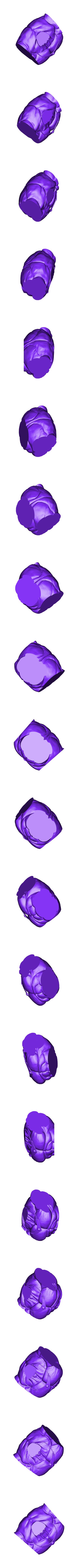 body_fixed.stl Broly - Dragon Ball Z