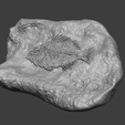 f2.png Fish Mineral Fossile - Realistic Printable Resin