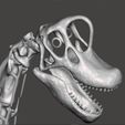 giraffatitan141.jpg Brachiosaurus / Giraffatitan complete skeleton