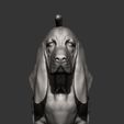 basset-hound8.jpg basset hound 3D print model