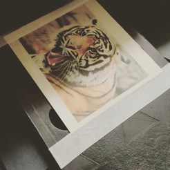 catprint.png Free STL file Print onto wood with a Canon desktop printer・3D printer design to download