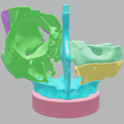medical,-skull,-dental,-face,-sinus,-eye,-head,-maxillary,-ethmoid,-sphenoid,-frontal,-palate,-anato.png Detailed 3D Printed Multiple Assemblable Parts Nasal Sinus Based on Real Patient CT Scan Data