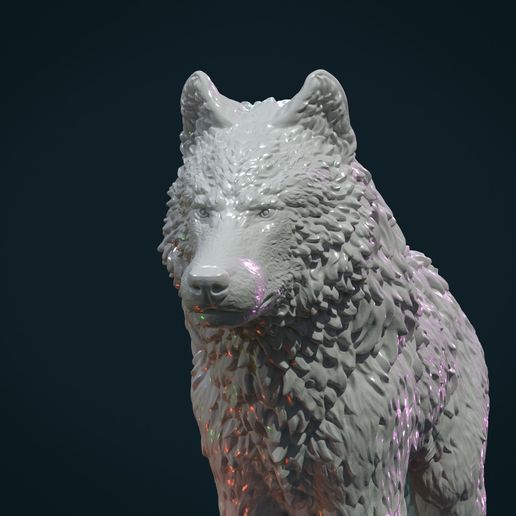 Wolf_IIIx-08.jpg Wolf IV