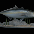 Greater-Amberjack-statue-1-8.png fish greater amberjack / Seriola dumerili statue underwater detailed texture for 3d printing