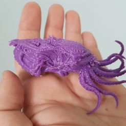 20181119_130505.jpg Tête de Cthulhu