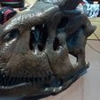 20250922_204123.jpg Череп карнотавра 30 см 3d печать 3d модель
