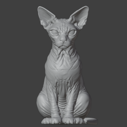 Sphynx Cat