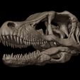 velociraptor-skull-3d-print-model-3d-model-946f672915.jpg Cráneo de velociraptor