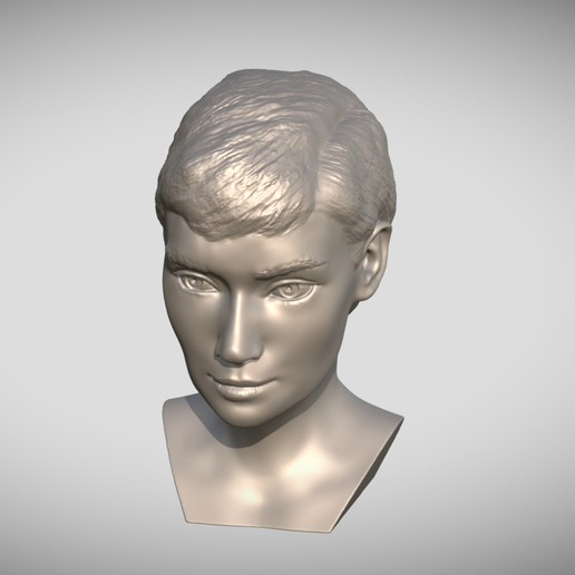 Zrzut-ekranu-2025-04-29-102337.png Buste d'Audrey Hepburn pour l'impression 3D