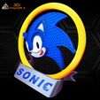 SONIC-2.jpg Exclusive Collection of SONIC and Friends Collectibles!!!