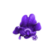original.stl Paladins Seris