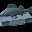 Perch-statue-33.png fish perch / Perca fluviatilis statue detailed texture for 3d printing