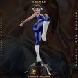 z-6.jpg Chun Li - Street Fighter - Collectible