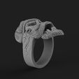 bully-skull-ring-3d-model-for-3d-printing-3d-print-model-3d-model-88edc00bce.jpg Bully skull ring 3d model