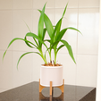 1.png MODERN JAPANDI STYLE PLANT POT WITH LINES