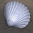 lol.png Sea shell