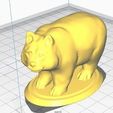1.jpg Bear Misha