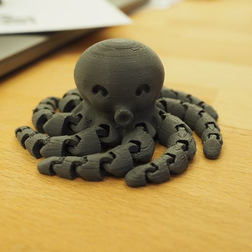 Cute Mini Octopus