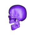 Scull 1.stl Мясник