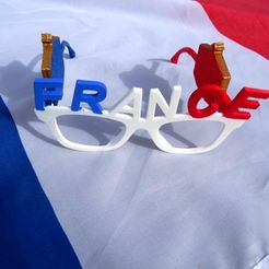 Lunettes V2.JPG Free 3D file French Team Glasses・Model to download and 3D print