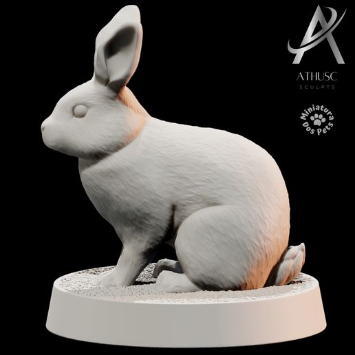 IMG_2377.jpeg Bunny Rabbit