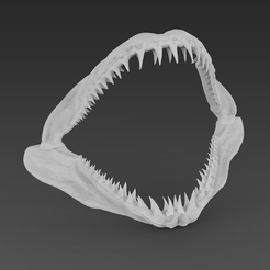 untitled.24.png Файл 3D Shark jaw・3D-печатный дизайн для загрузки