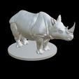 Capture-d’écran-2023-07-06-à-11.18.40.png Rhinoceros