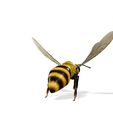 0_00037.jpg DOWNLOAD BEE 3D Model BEE - Obj - FbX - 3d PRINTING - 3D PROJECT - BLENDER - 3DS MAX - MAYA - UNITY - UNREAL - CINEMA4D - BEE GAME READY - POKÉMON - RAPTOR