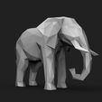 1.7.jpg Elephant