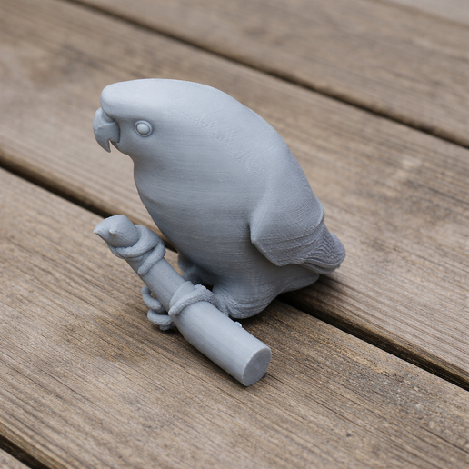 Barred parakeet