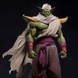 Piccolo-1.jpg Piccolo