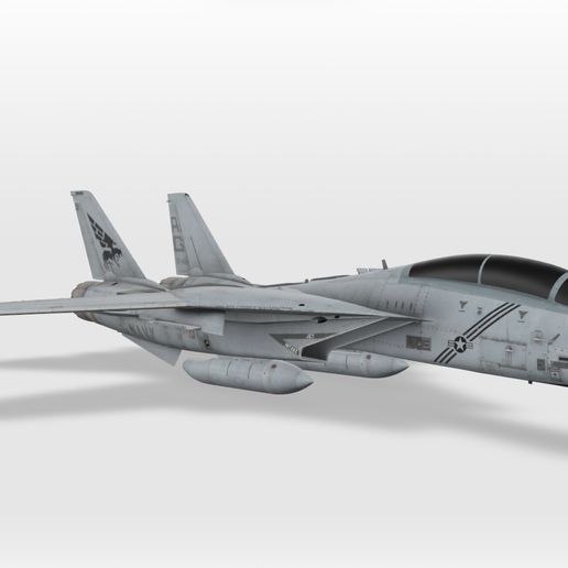 IMG_7040.jpeg F-14 Tomcat - истребитель обороны флота