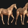 04.jpg Thoroughbred Horse model 3D print model