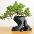 A.jpg Free STL file Bonsai Planter・3D print design to download