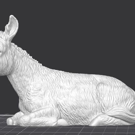 Immagine-2025-10-23-145901.jpg Crouching Donkey