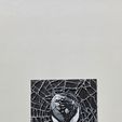 Imagen-de-WhatsApp-2025-08-28-a-las-19.21.22_ba83f31b.jpg 🕷️🖤 Premium 3D Frame "Spider-Venom: Lethal Duality" 🖤🕷️