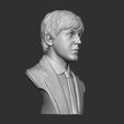 14.jpg Paul McCartney 3D print model