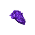 STL00001.stl 3D Model of Human Heart with Co-Arctation (CA) - generated from real patient