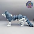 485129469_671155562050591_1473588724662630039_n.jpg Flexi Wolf, Print-in-place, Articulated wolf
