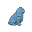 model.png Pekingese Figure Dog
