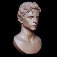 09.jpg Timothee Chalamet bust sculpture 3D print model