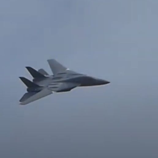 Wings-Swept-1.jpg F-14 RC Aircraft (Twin 50mm Fan, 1050mm span)