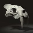 Sabertooth-cat-skull-5.jpg 3d Print Skull Sabertooth Cat