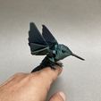 IMG_7142.jpg Hummingbird