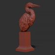 30.jpg Grey Heron bust