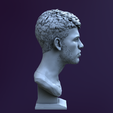 untitled2.png Carlos Alcaraz bust for 3D printing