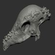 gif1.jpg Pachycephalosaurus Skull