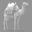 Detailed-Arabian-Camel-Saddled-Desert-Mount.83.jpg Detailed Arabian Camel - Saddled Desert Mount