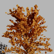 Tree_01.png Trees 3D model
