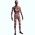 S.jpg DOWNLOAD Zombie 3D MODEL Vampire and Devoured Bodies 3d animated for blender-fbx-unity-maya-unreal-c4d-3ds max - 3D printing ZOMBIE ZOMBIE